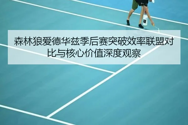 森林狼爱德华兹季后赛突破效率联盟对比与核心价值深度观察
